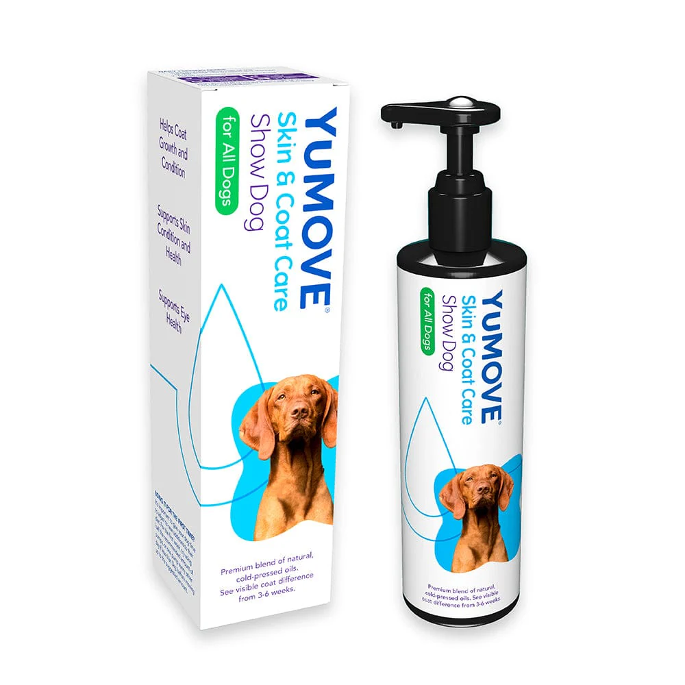 Skin & Coat Care for Show Dogs - Image 4