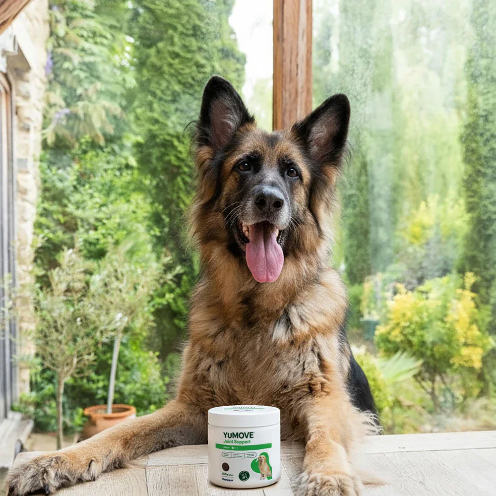 Joint Care Daily Bites for Adult Dogs - Image 2