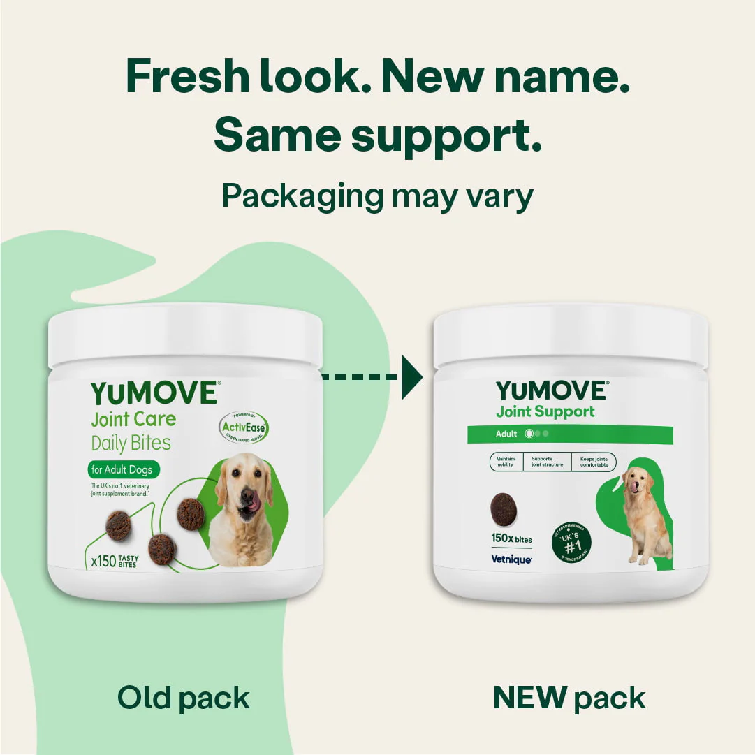 Joint Care Daily Bites for Adult Dogs - Image 4
